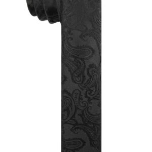 BLACK PAISLEY JACQUARD TIE 20% off