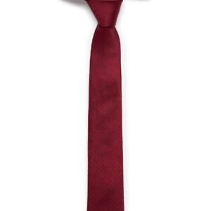 BURGUNDY PIN DOT TIE 20% off