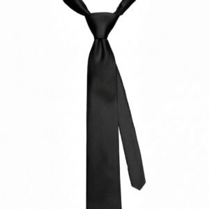 CLASSIC SOLID BLACK TIE 20% off